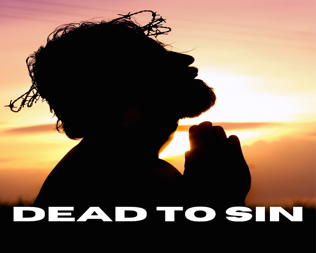 Dead to Sin