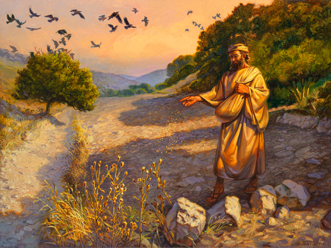 Sower and the Seed – Parable of the Soils 