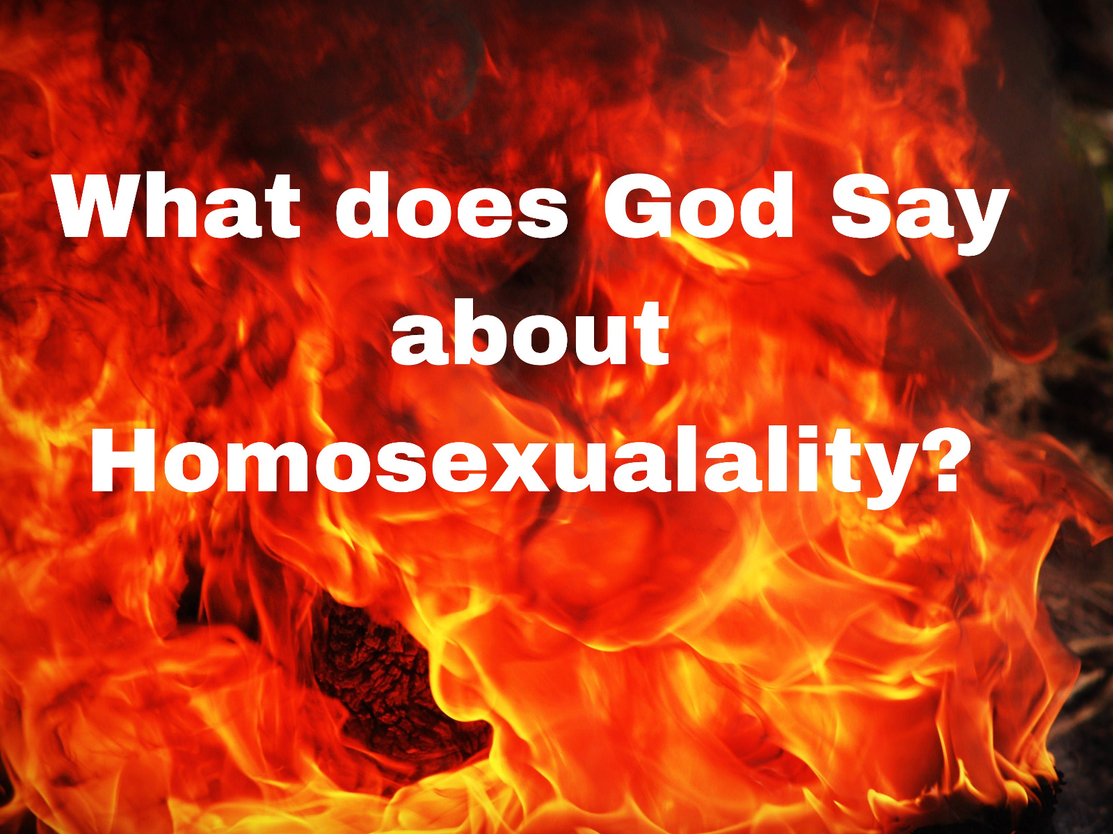 What does God Say About Homosexuality?